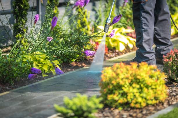 Best Post-Construction Pressure Washing  in Cape Neddick, ME
